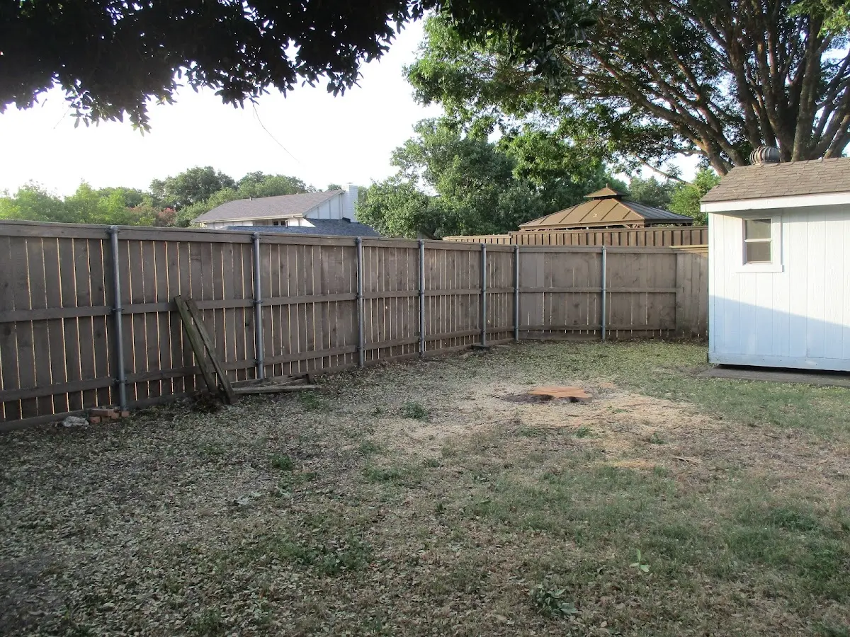 Cleared yard after professional tree removal in Casa Grande